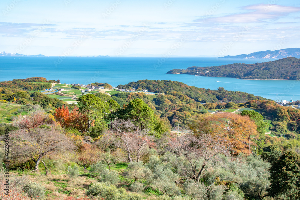 瀬戸内海の美しい景色とオリーブ畑・岡山県瀬戸内市牛窓町　Beautiful view of Setonaikai, Inland Sea of Japan, and an olive grove in Ushimado town, Setouchi city, Okayama pref. Japan.