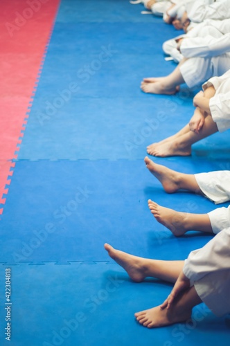 Canvas Print Children in karate training