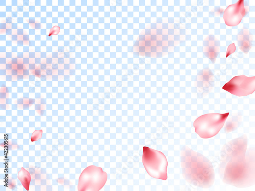 Japanese cherry petals on transparent background.