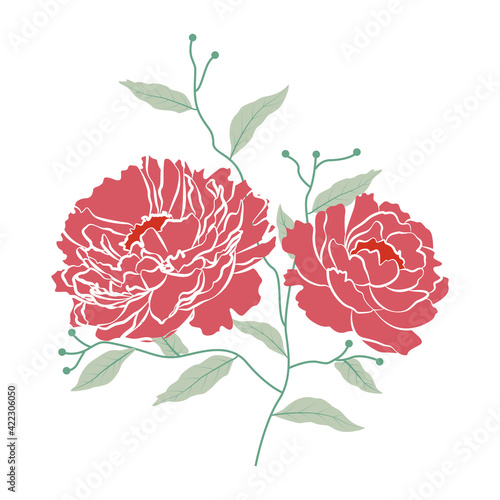 Vector illustration of peony flowers with branch and leaf