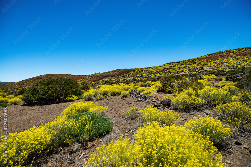 teide national park with volcano and Izaña observatory. Tenerife.