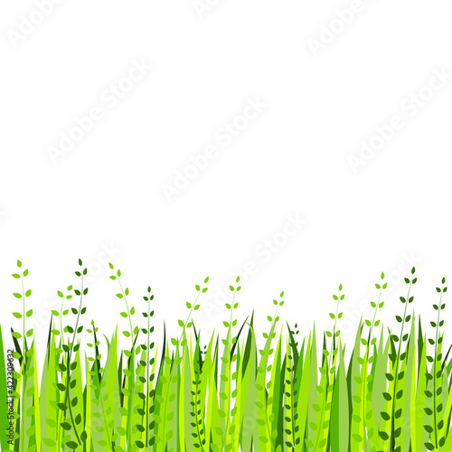 Green grass border isolated on white background. Vector illustration for spring or summer design. Decoration for Easter greeting card or banner