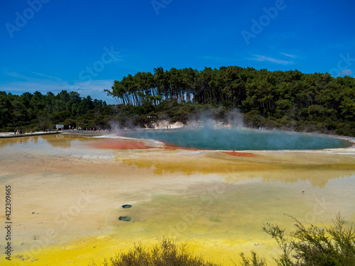 Rotorua, New Zealand photo