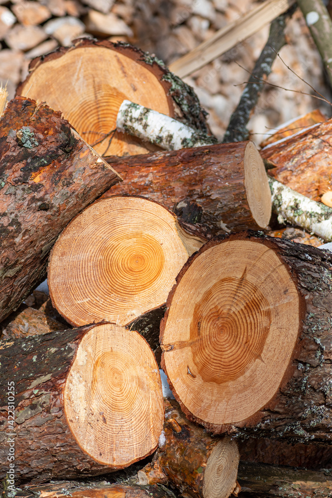 Structure or pile composed of blocks, pieces or logs of wood in winter or spring with snow. The art of stacking wood for drying and storage, vertical Structure or pile composed of blocks, pieces or logs of wood in winter or spring with snow. The art of stacking wood for drying and storage, vertical