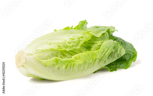 lettuce vegetable isolated on white background, clipping path