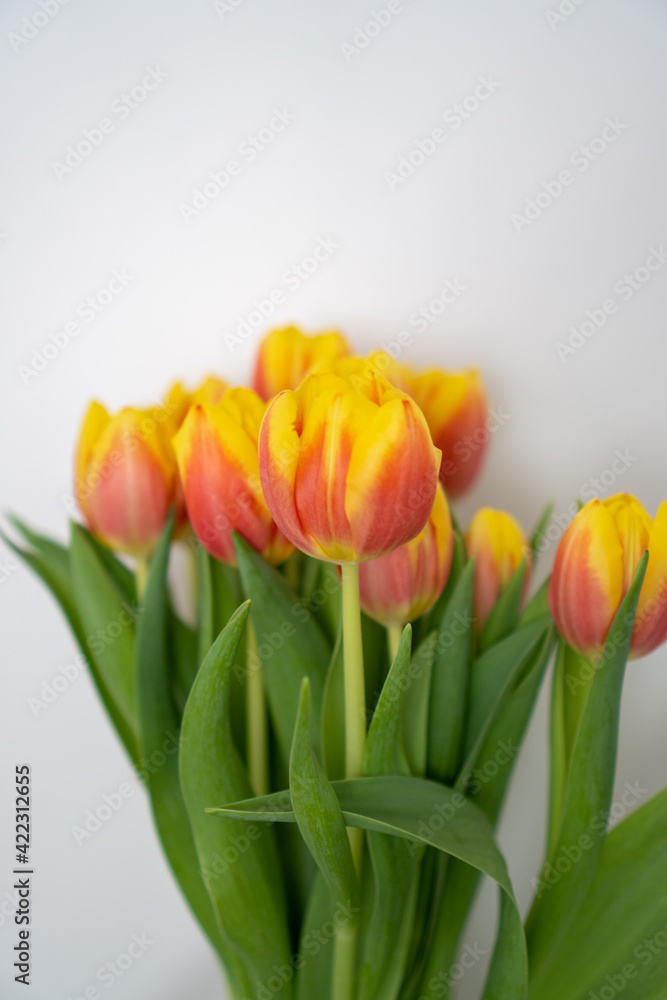 bouquet of red-yellow tulips with green leaves bouquet of red-yellow tulips with green leaves