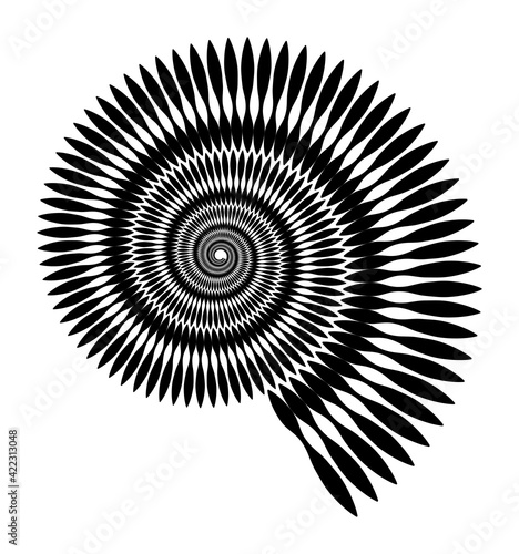 Vector pattern in the form of a snail. Marine ornament, pattern. Isolated geometric pattern. Black and white, monochrome