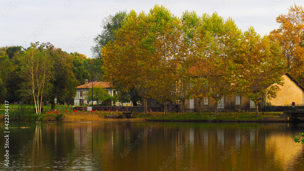 Cadre idyllique au bord d'un étang, magnifié par les couleurs de l'automne