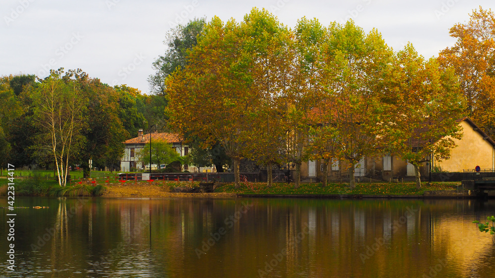 Cadre idyllique au bord d'un étang, magnifié par les couleurs de l'automne Cadre idyllique au bord d'un étang, magnifié par les couleurs de l'automne