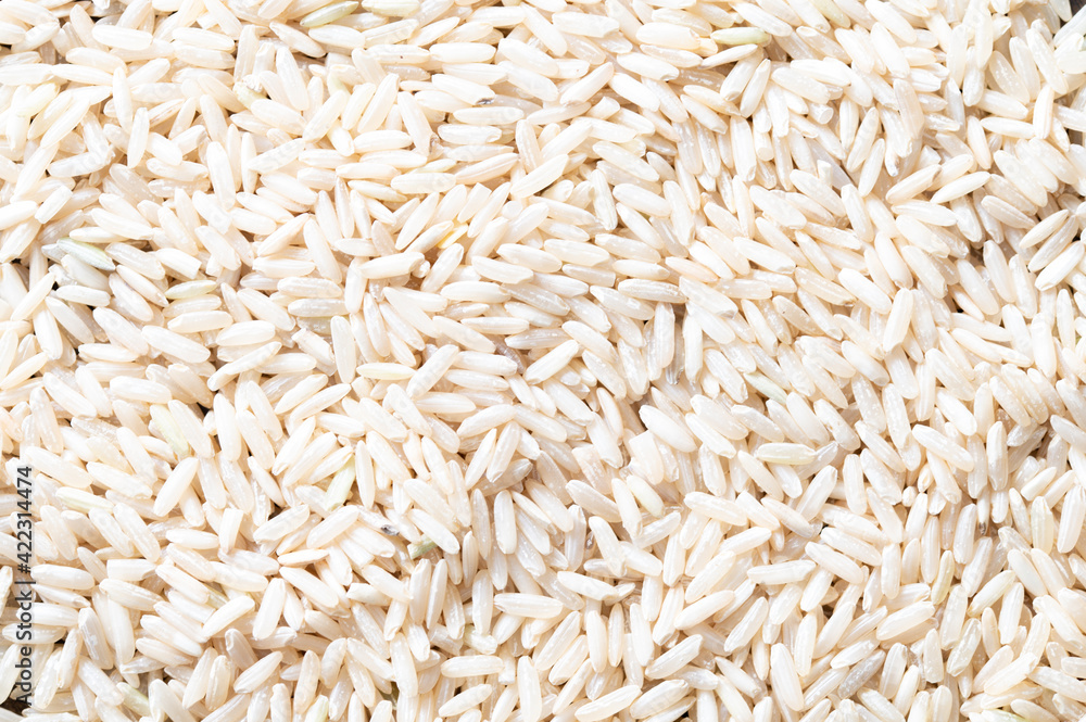 Bed of Uncooked Rice Grains Bed of Uncooked Rice Grains