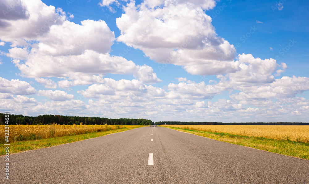 road going into perspective, yellow fields and blue sky with cumulus clouds road going into perspective, yellow fields and blue sky with cumulus clouds