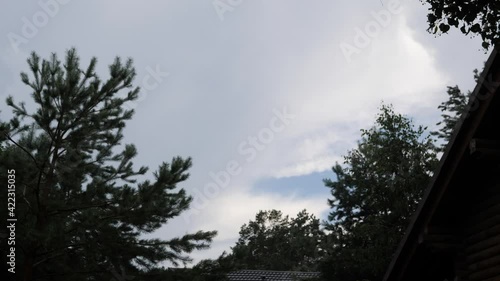 Beautiful European house made of natural wood and timber.