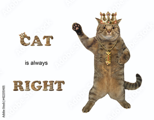 A beige cat in a golden crown is standing and waving paw. Cat is always right. White background. Isolated. © iridi66