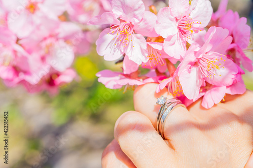 桜の花と結婚指輪