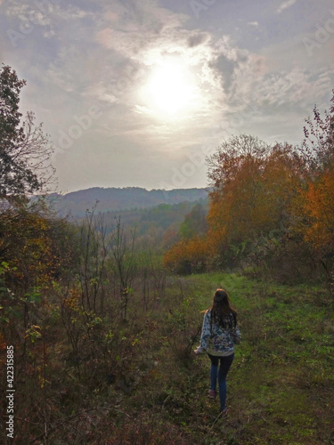 The girl walks through the meadow against the background of the autumn forest © Ilia