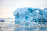 Abstract Glacial ice floating in the Arctic ocean