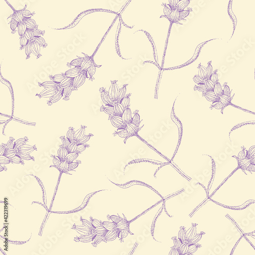 Lavender line art seamless vector pattern background. Purple blossoms on stems with leaves on pastel yellow backdrop. Botanical herb vintage design. Nature meadow garden all over print for summer