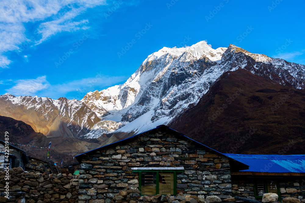 Landscape photos; nature; Rio de Janeiro; Nepal; India