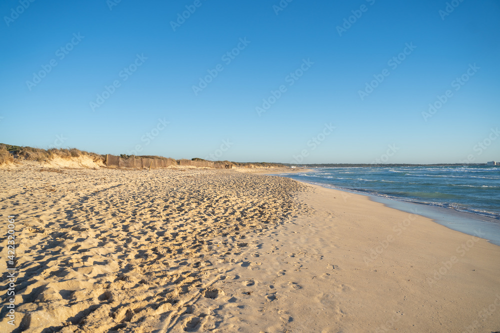 Es Trenc beach at sunset. Palma de Mallorca, Spain Es Trenc beach at sunset. Palma de Mallorca, Spain