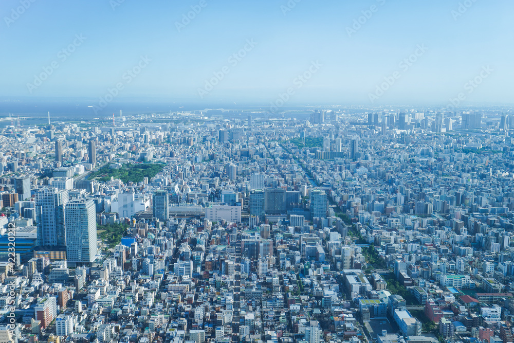 Fototapeta premium 東京の風景・高層ビル群