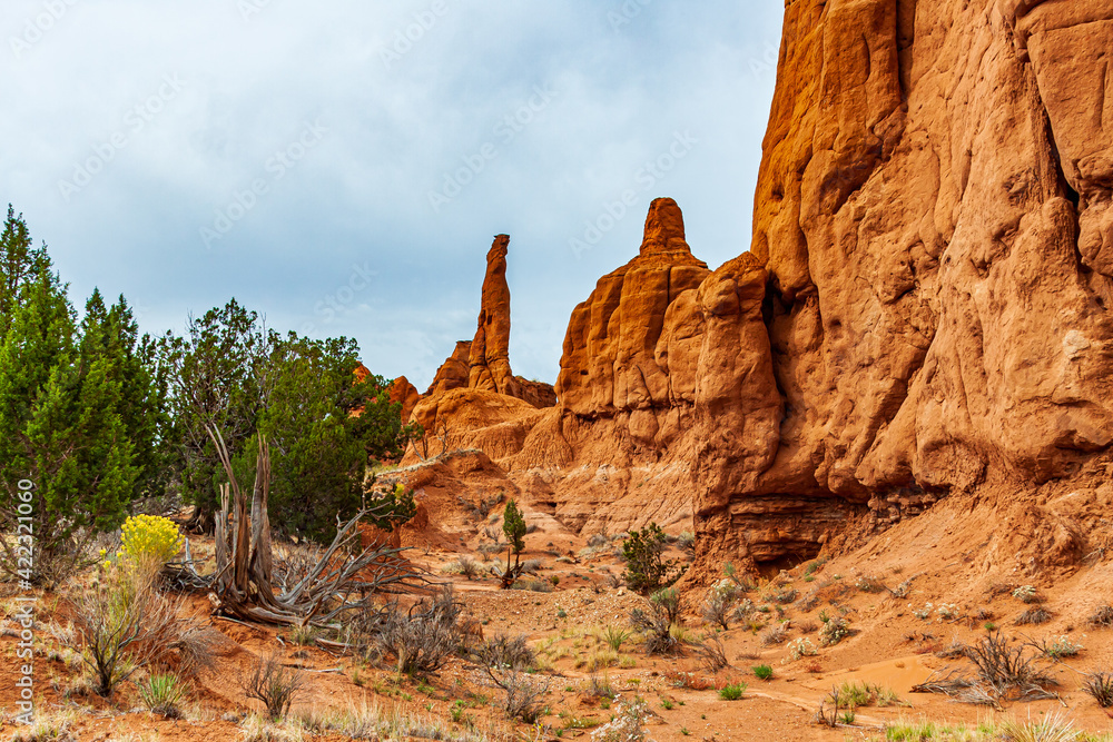 Utah-KODACHROME BASIN STATE PARK