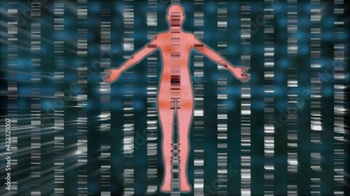 Female body in front of dna barcodes DNA barcoding , scan , analysis , identification . 3d animation render  photo