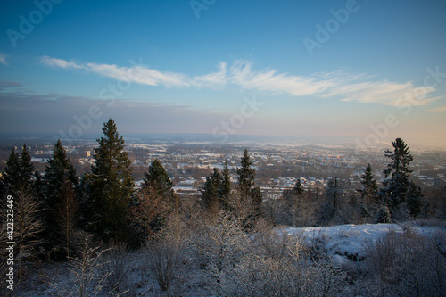 Overlooking Skövde in Sweden from a mountain/hill named Billingen photo