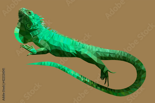 lizard iguana in low poly technique