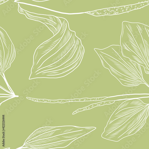 Seamless pattern with plantain plant