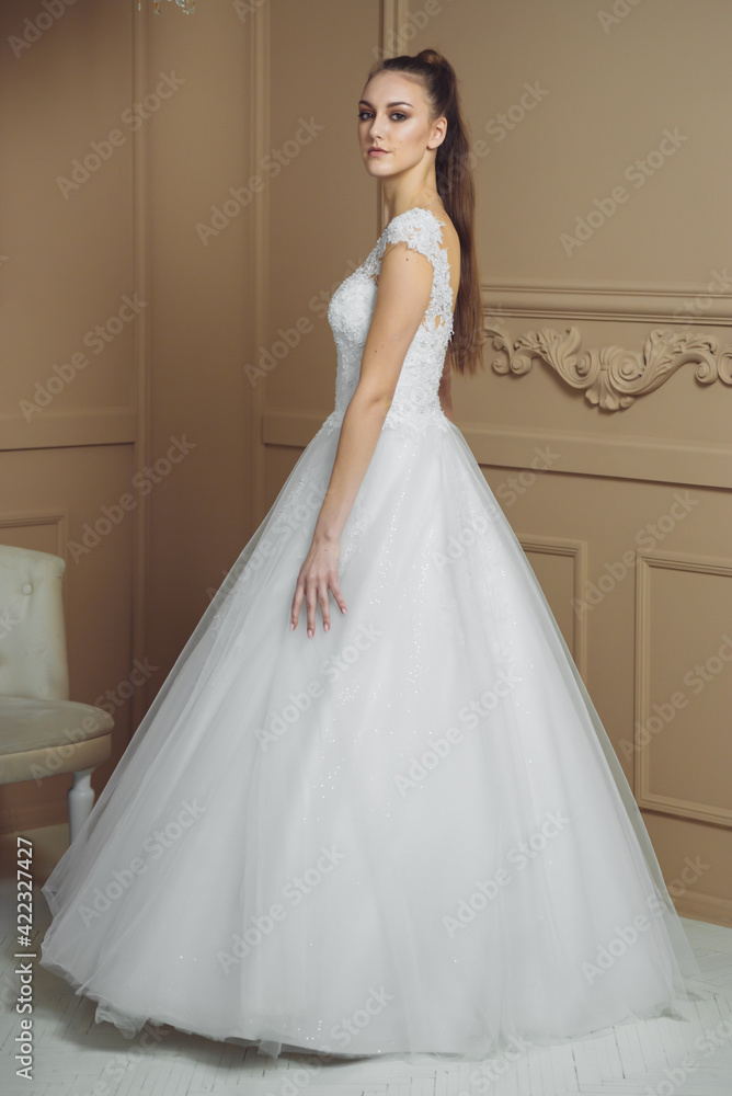 Happy bride in luxury sparkly wedding dress posing in studio on brown background. Marriage concept. Happy bride in luxury sparkly wedding dress posing in studio on brown background. Marriage concept.