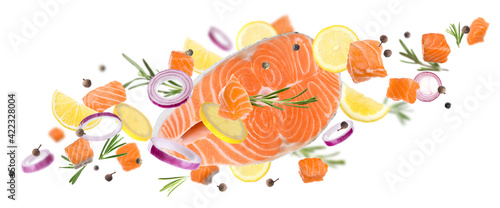 Delicious fresh raw salmon and different spices on white background. Banner design