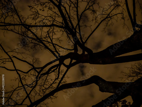Dark sky