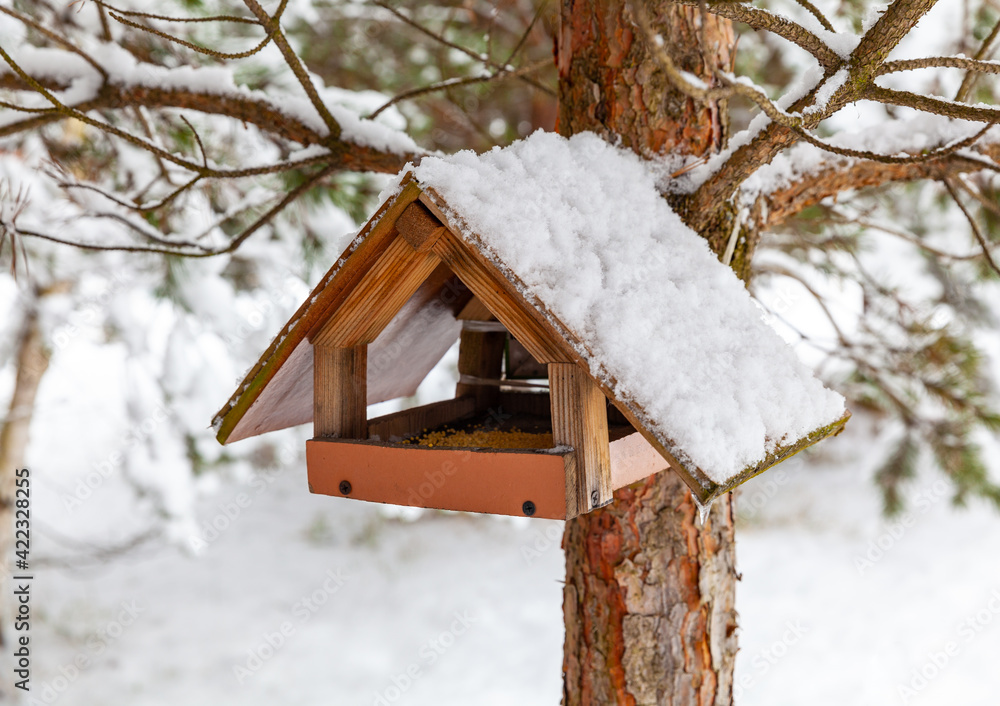 Homemade wooden bird feeder covered with snow on a pine tree. Inside there is food for birds. Winter landscape Homemade wooden bird feeder covered with snow on a pine tree. Inside there is food for birds. Winter landscape
