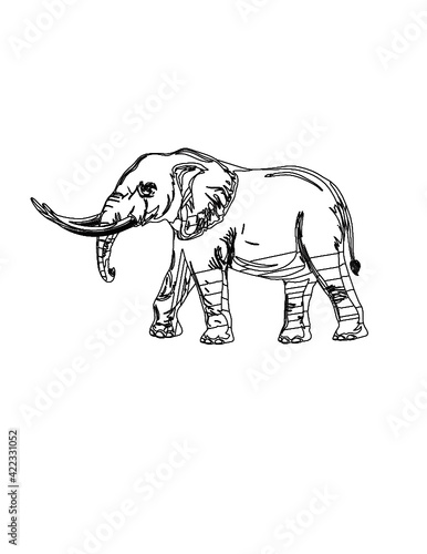 illustration of an african elephant