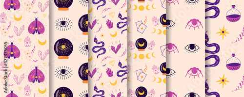 Magic spiritual pattern set. Mystic Crystal ball pattern, fortune eye, moth, moon serpent violet background