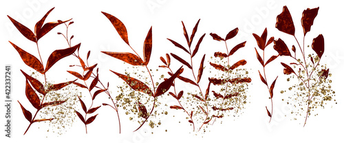 Gräsersammlung mit Goldstaub