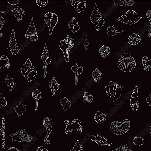 Elegant line sea shells, vector art pattern illustration.