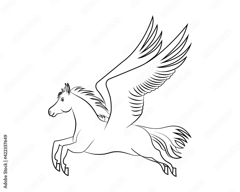 Line art vector drawing of smart white horse with flying wings or