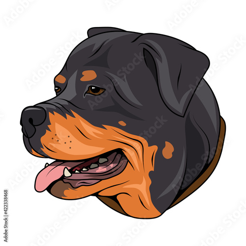Rottweiler. Butcher's Dog. Best friend. Champion dog. Rottweiler Logo. Vector graphics to design