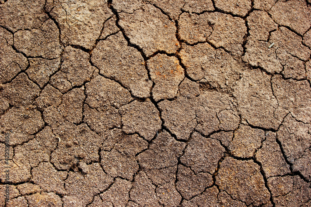 dry soil texture dry soil texture