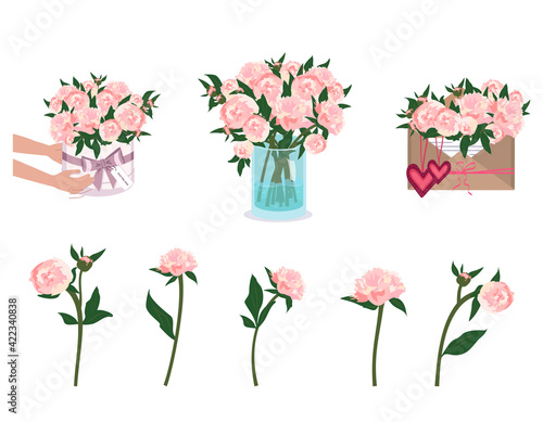 Hands are holding peonies. Bouquet delivery