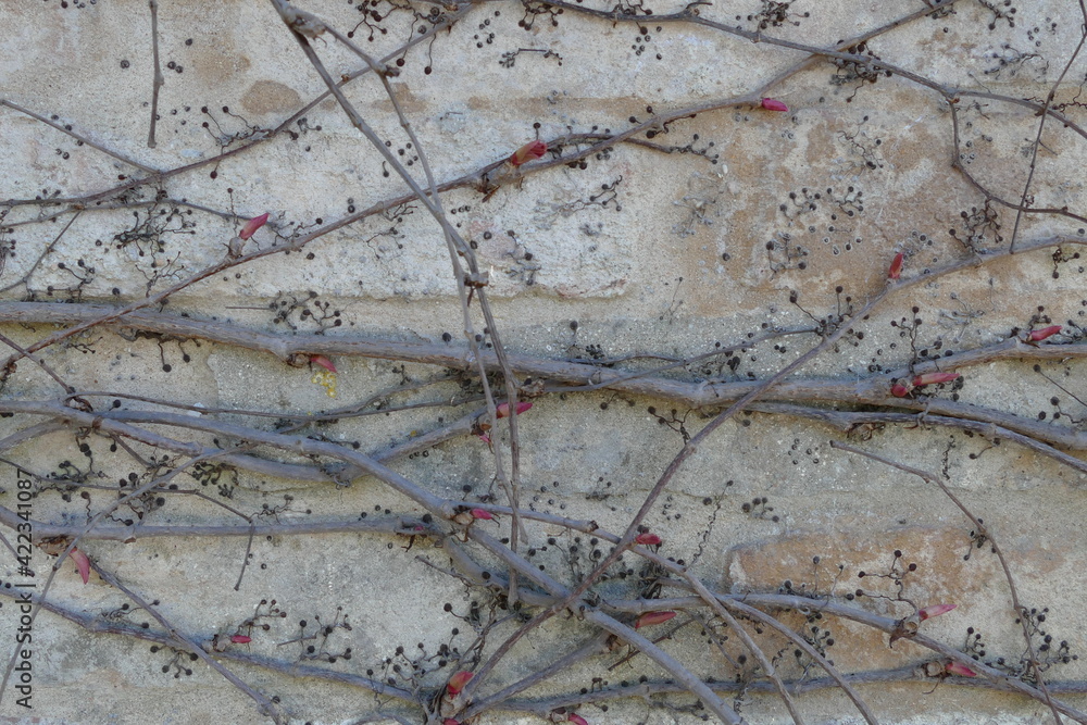 Obraz premium Texture wallpaper