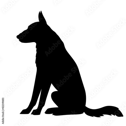 Silhouette of a big dog shepherd