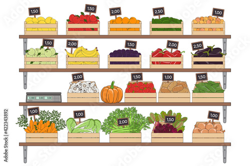 Set of vegetables and fruits in the boxes. Farmer s marker, grocery store, zero waste shop. Local market food, fresh and organic farm products. Hand drawn vector illustration.