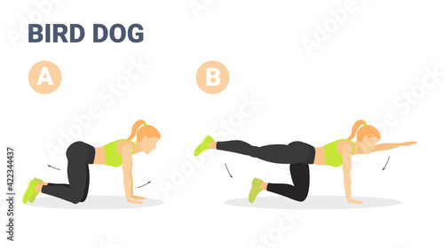 Female Doing Bird Dog Workout Exercise Guide Colorful Concept Illustration.