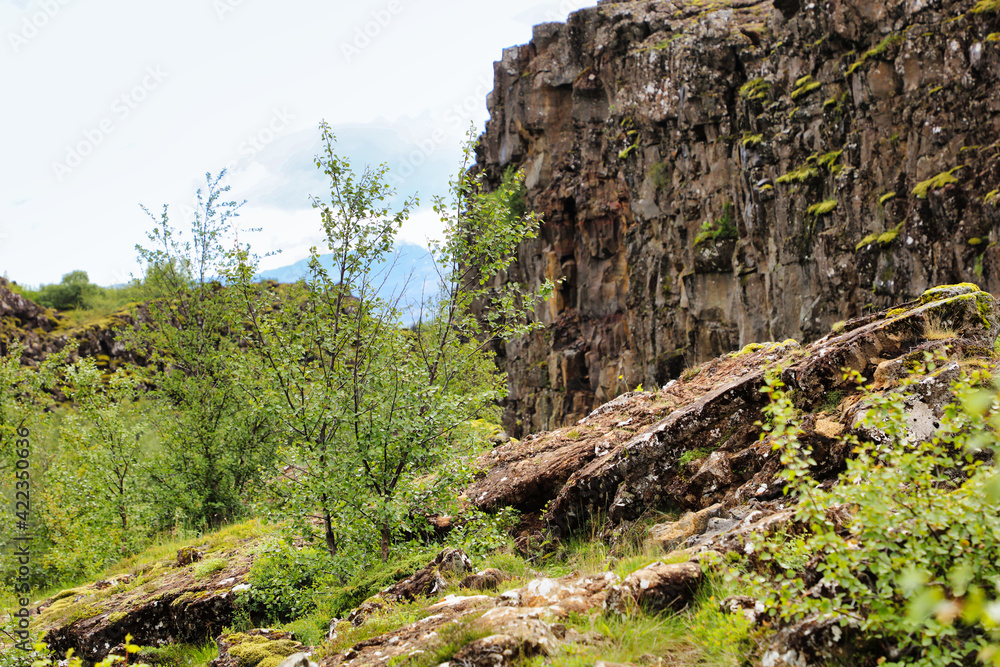 Fototapeta premium Island - Landschaft beim Thingvellir