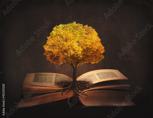 Book of life, knowledge, wisdom - old tree and its roots on open pages of a magic book;