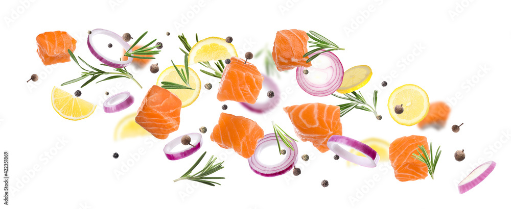 Pieces of delicious fresh raw salmon and different spices on white background. Banner design