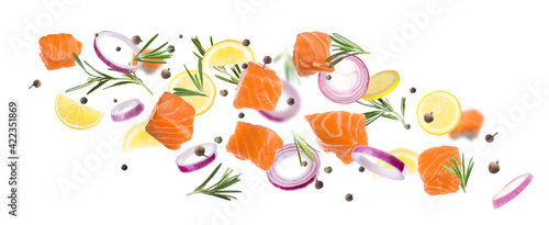 Pieces of delicious fresh raw salmon and different spices on white background. Banner design