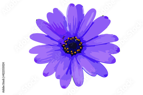 Flor vectorial individual morada azul y amarilla